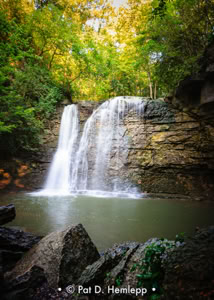 Pat Hemlepp's photo of the week