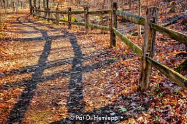 Shadows of a split rail fence darken a trail in Blendon Woods Metro Park, Westerville, Ohio.