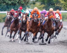 Horses battle off the turn during a race on opening day of the 2009 fall meet at Keeneland, the historic race track in Lexington, Ky.