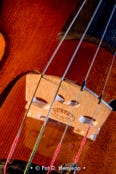 A close-up photograph of a violin's bridge and strings, Hilliard, Ohio.