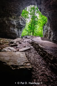 Pat Hemlepp's photo of the week